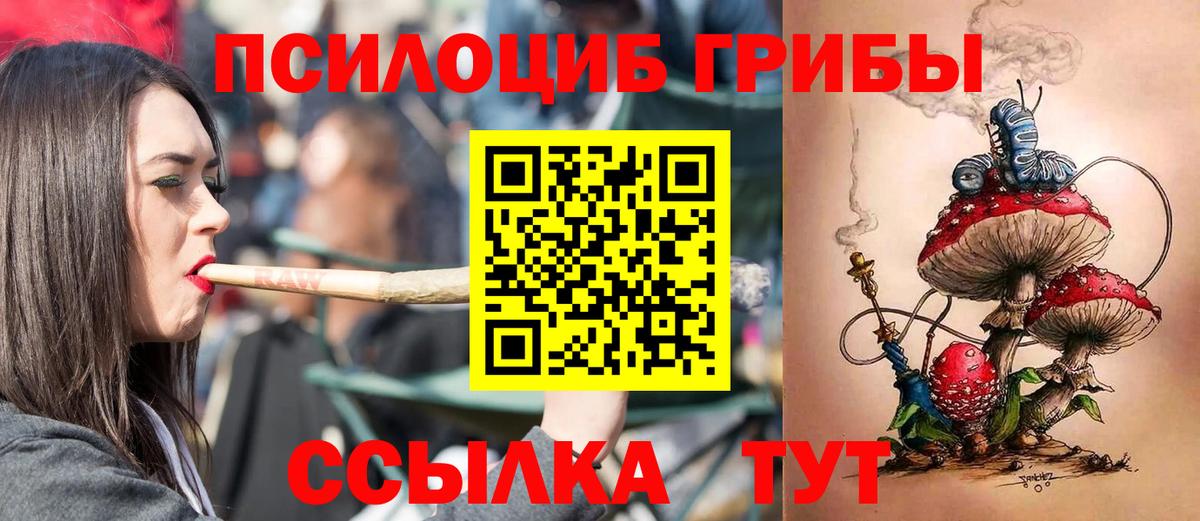 Псилоцибиновые грибы GOLDEN TEACHER  Вход с VPN  Черногорск 